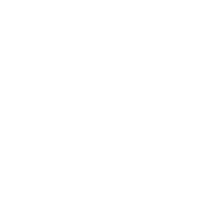 BELSIS Global